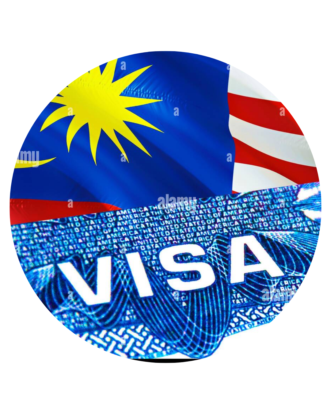 Visa Consultation